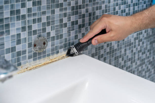 Best Black Mold Remediation in St Clairsville, OH